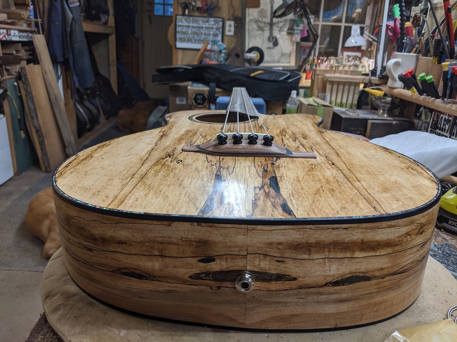 Spalted Maple Acoustic Bass Spalted Maple Acoustic Bass